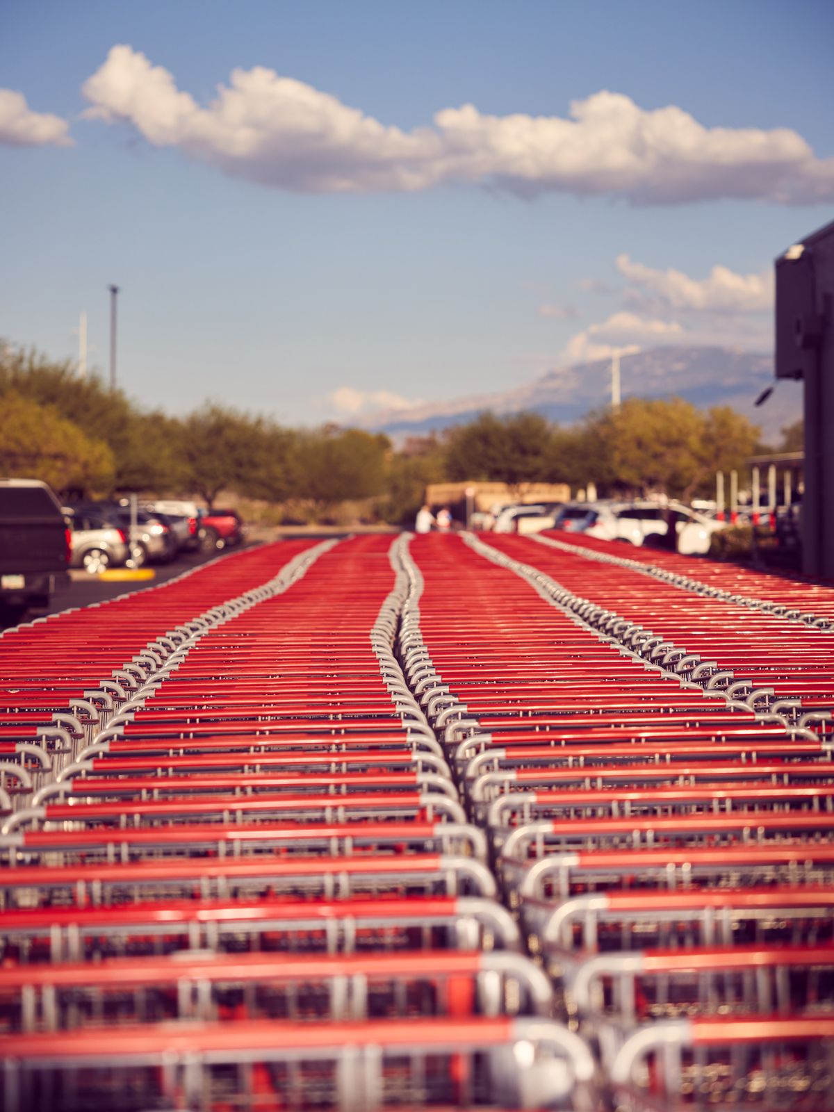  - featured collection cover image