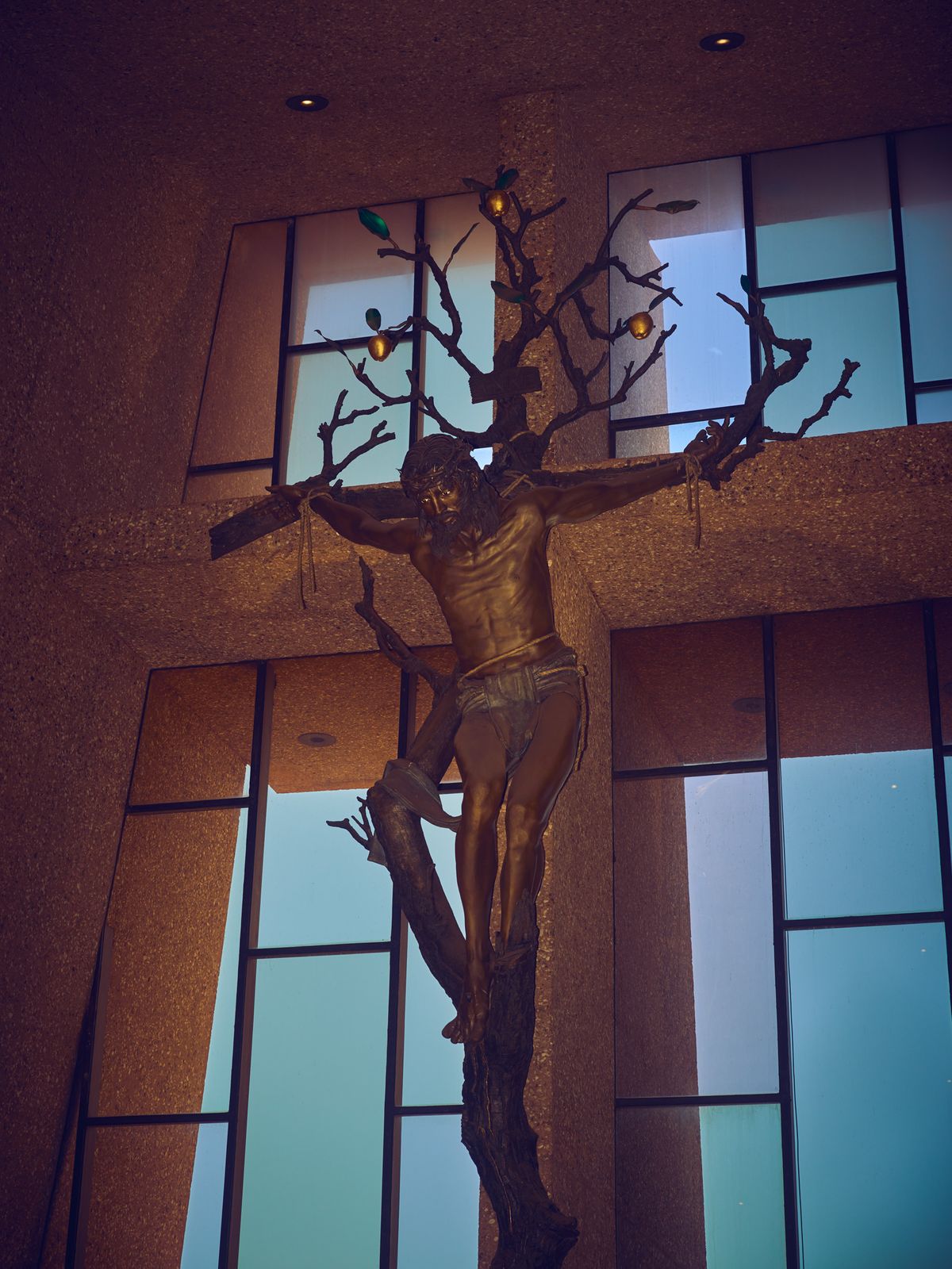  - featured collection cover image