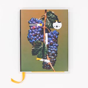AP 38: American Photography Annual - blog post cover image
