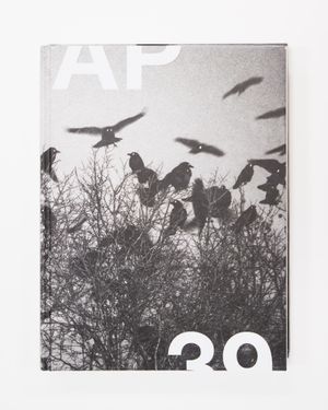 AP 39: American Photography Annual  - blog post cover image